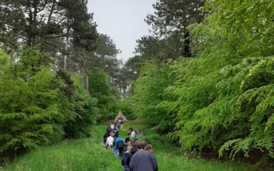 Sur les traces de la Première Guerre mondiale