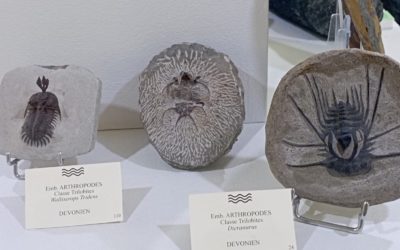 Sortie géologie